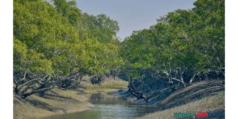 তিন মাস পর আবার খুললো সুন্দরবন তিন মাস পর আবার খুললো সুন্দরবন