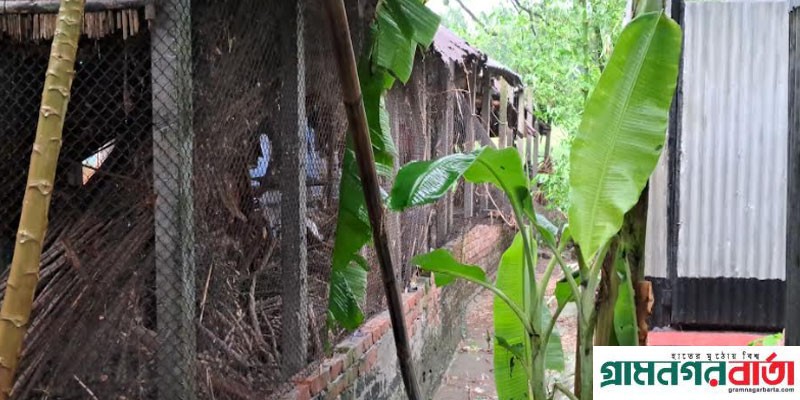 সিরাজদিখানে দিনমজুরের জমি দখল করে পোল্ট্রি ফার্ম করার অভিযোগ সিরাজদিখানে দিনমজুরের জমি দখল করে পোল্ট্রি ফার্ম করার অভিযোগ