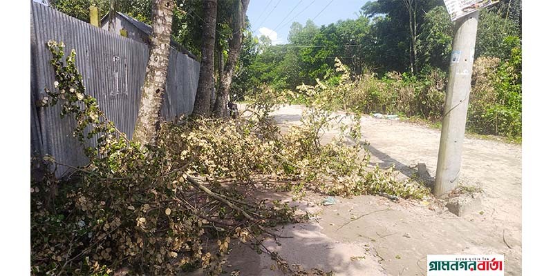শ্রীনগরে সরকারী রাস্তা ও খাল দখলের অভিযোগ শ্রীনগরে সরকারী রাস্তা ও খাল দখলের অভিযোগ