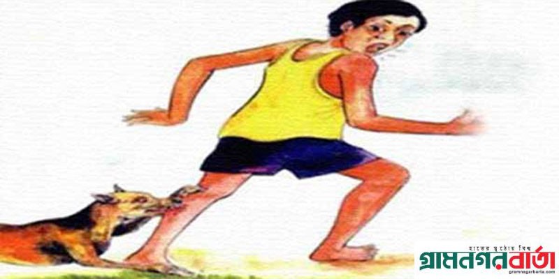 পঞ্চগড়ে কুকুরের কামড়ে নার্স সহ আহত ১৪, আতঙ্কিত মানুষ পঞ্চগড়ে কুকুরের কামড়ে নার্স সহ আহত ১৪, আতঙ্কিত মানুষ