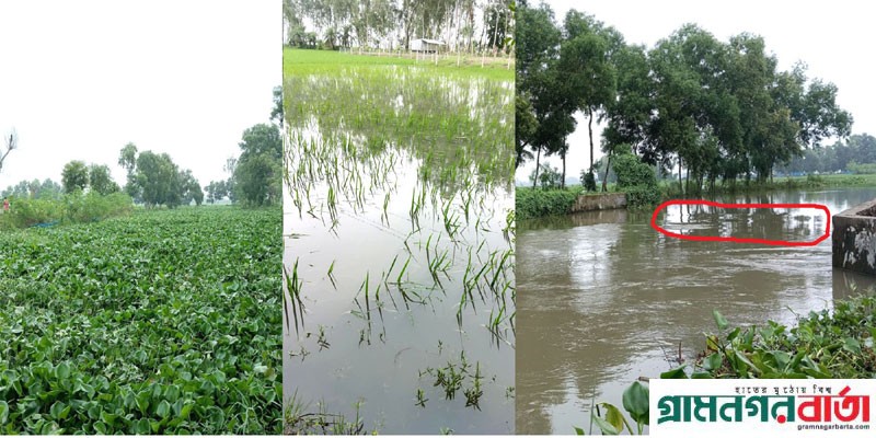 আদমদীঘিতে ইরামতি খালে বরেন্দ্র প্রকল্পের বাঁধ, কৃষকের মরণ ফাঁদ আদমদীঘিতে ইরামতি খালে বরেন্দ্র প্রকল্পের বাঁধ, কৃষকের মরণ ফাঁদ