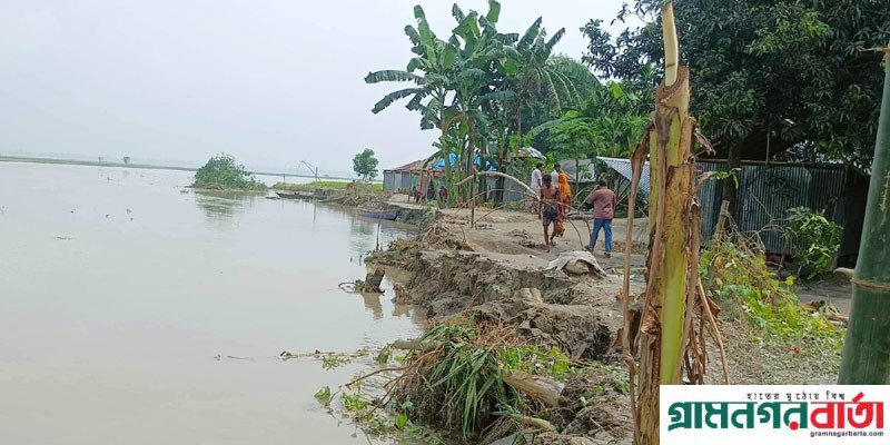 কাউনিয়ায় তিস্তা নদীর পানি কমলেও বাড়ছে ভাঙ্গন আতঙ্ক কাউনিয়ায় তিস্তা নদীর পানি কমলেও বাড়ছে ভাঙ্গন আতঙ্ক