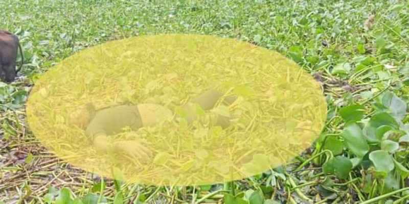 গজারিয়ায় কচুরিপানার নিচে নদী থেকে অজ্ঞাত ব্যক্তির লাশ উদ্ধার গজারিয়ায় কচুরিপানার নিচে নদী থেকে অজ্ঞাত ব্যক্তির লাশ উদ্ধার