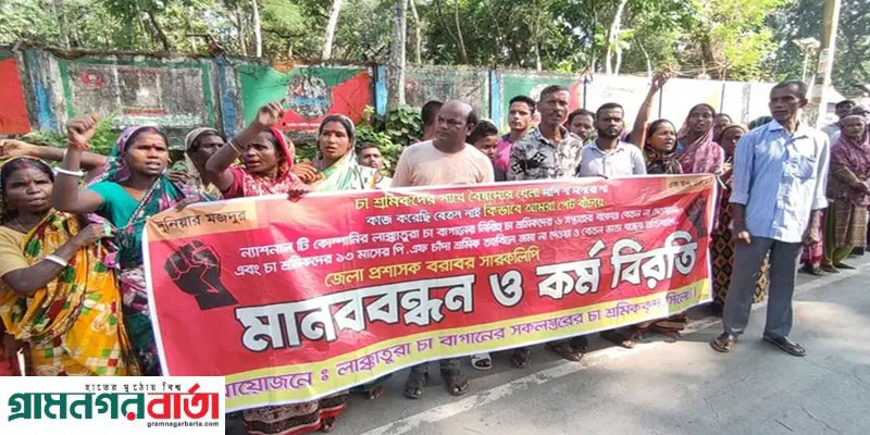 সিলেটের চা বাগানগুলোতে চা উৎপাদনে ব্যাপক ধস সিলেটের চা বাগানগুলোতে চা উৎপাদনে ব্যাপক ধস