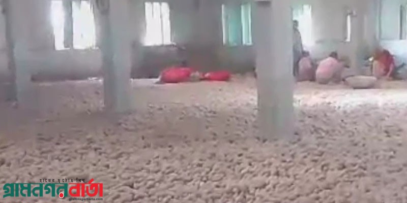বারবার হাত বদলে ৪৬ টাকার আলু বিক্রি হচ্ছে দেড়গুণ বেশি দামে বারবার হাত বদলে ৪৬ টাকার আলু বিক্রি হচ্ছে দেড়গুণ বেশি দামে