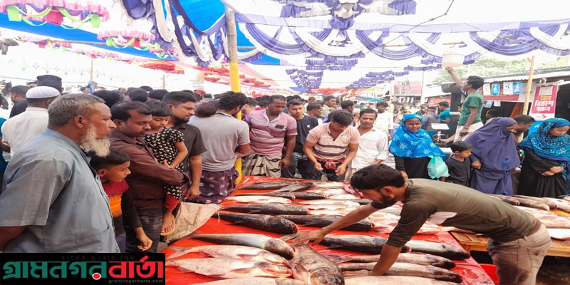 নন্দীগ্রামে নবান্ন উৎসবে মাছের মেলা নন্দীগ্রামে নবান্ন উৎসবে মাছের মেলা