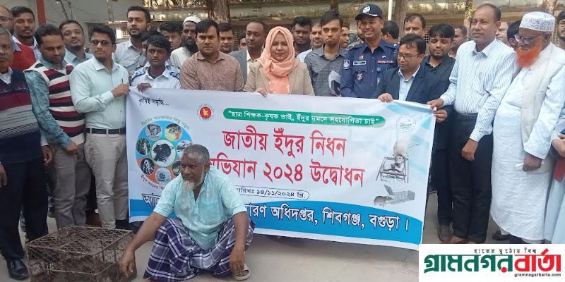 শিবগঞ্জে জাতীয় ইঁদুর নিধন অভিযান পালিত শিবগঞ্জে জাতীয় ইঁদুর নিধন অভিযান পালিত