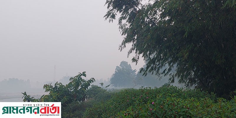 পঞ্চগড়ে তাপমাত্রা বেড়েছে, রোদ উঠলেই কাটছে যায় ঘন কুয়াশা পঞ্চগড়ে তাপমাত্রা বেড়েছে, রোদ উঠলেই কাটছে যায় ঘন কুয়াশা