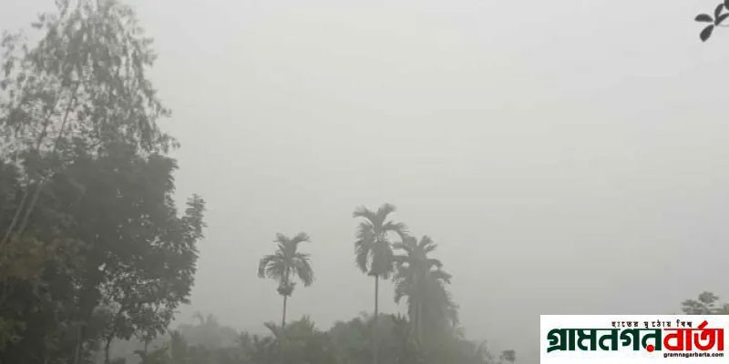 পঞ্চগড়ে কনকনে শীত কুয়াশার চাদরে ঢেঁকে পড়ছে চারিদিক পঞ্চগড়ে কনকনে শীত কুয়াশার চাদরে ঢেঁকে পড়ছে চারিদিক