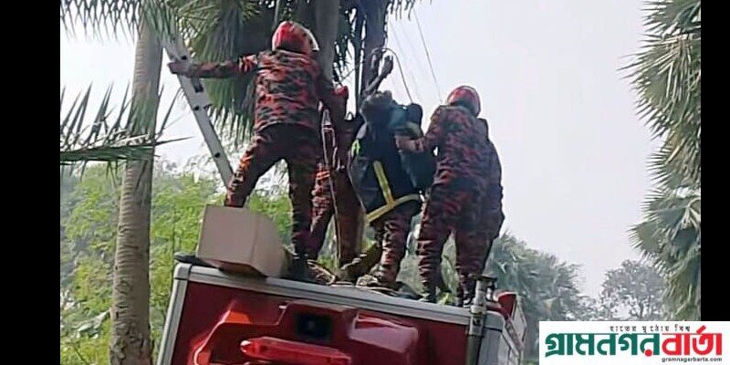 আদমদীঘিতে গাছের ডাল কাটতে গিয়ে বিদ্যুৎস্পৃষ্টে এক ব্যক্তির মৃত্যু আদমদীঘিতে গাছের ডাল কাটতে গিয়ে বিদ্যুৎস্পৃষ্টে এক ব্যক্তির মৃত্যু