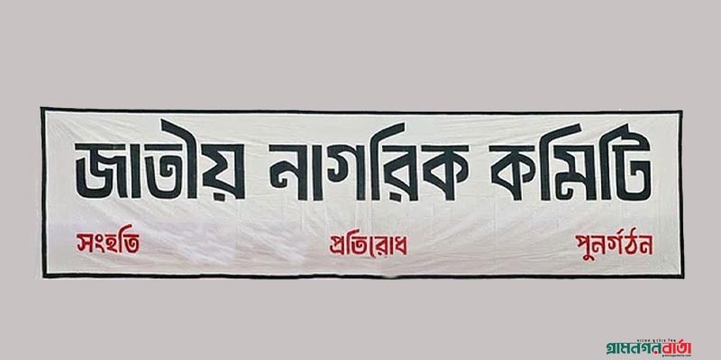 রাষ্ট্রপতির ক্ষমতা নিয়ে যা চায় জাতীয় নাগরিক কমিটি রাষ্ট্রপতির ক্ষমতা নিয়ে যা চায় জাতীয় নাগরিক কমিটি