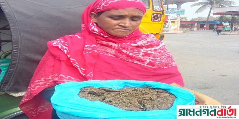 আদমদীঘিতে এক কেজি গাঁজাসহ নারী মাদক কারবারি গ্রেপ্তার আদমদীঘিতে এক কেজি গাঁজাসহ নারী মাদক কারবারি গ্রেপ্তার