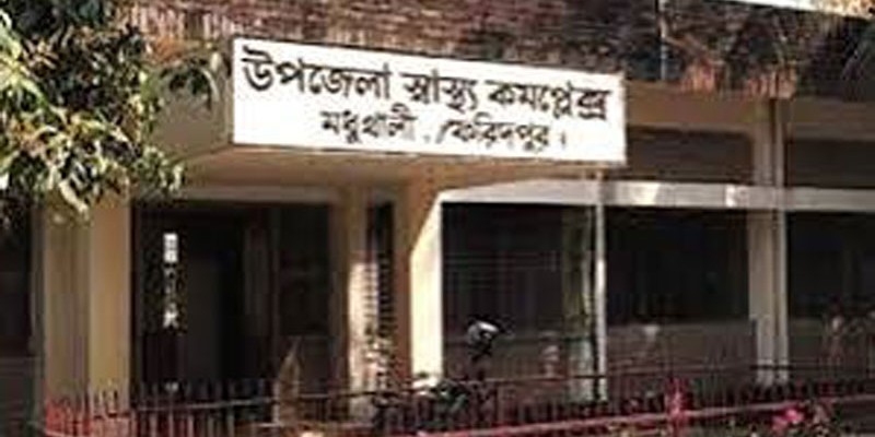মৌমাছির কামড়ে যুবকের মৃত্যু, আহত ১৬ মৌমাছির কামড়ে যুবকের মৃত্যু, আহত ১৬