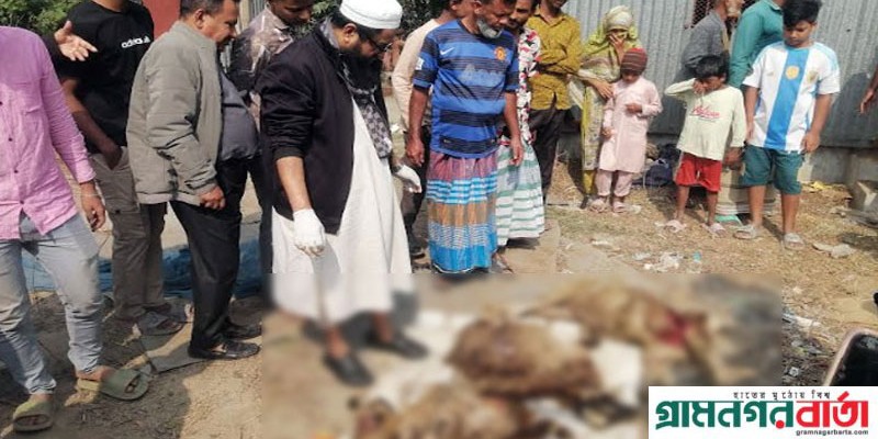 মুন্সীগঞ্জে খামারির ১১টি ভেড়া কুপিয়ে হত্যা মুন্সীগঞ্জে খামারির ১১টি ভেড়া কুপিয়ে হত্যা
