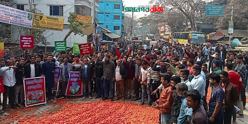 মহাসড়কে টমেটো ফেলে নাটোরে সড়ক অবরোধ কৃষকদের মহাসড়কে টমেটো ফেলে নাটোরে সড়ক অবরোধ কৃষকদের