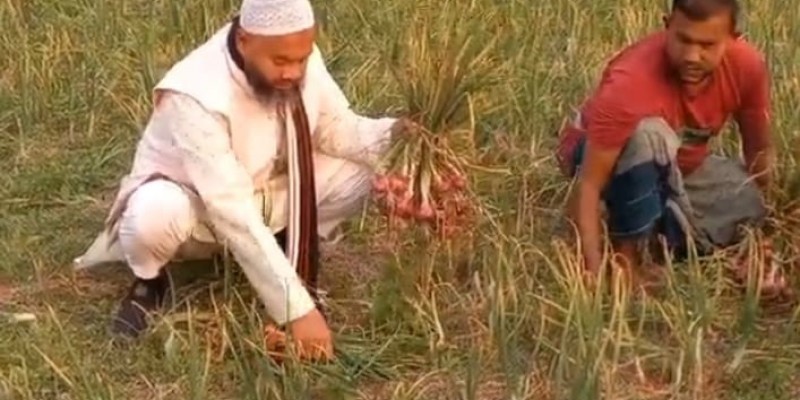 মাদারীপুরে মুড়িকাটা পিঁয়াজের বাজার মূল্যে দিশেহারা কৃষক মাদারীপুরে মুড়িকাটা পিঁয়াজের বাজার মূল্যে দিশেহারা কৃষক