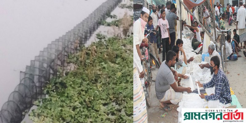 কাউনিয়ায় ভয়ঙ্কর রিং ও কারেন্ট জালের ফাঁদে দেশীয় প্রজাতির মাছ কাউনিয়ায় ভয়ঙ্কর রিং ও কারেন্ট জালের ফাঁদে দেশীয় প্রজাতির মাছ