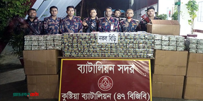 কুষ্টিয়ায় বিজিবির অভিযানে সাত লক্ষ শলাকা নকল বিড়ি জব্দ কুষ্টিয়ায় বিজিবির অভিযানে সাত লক্ষ শলাকা নকল বিড়ি জব্দ