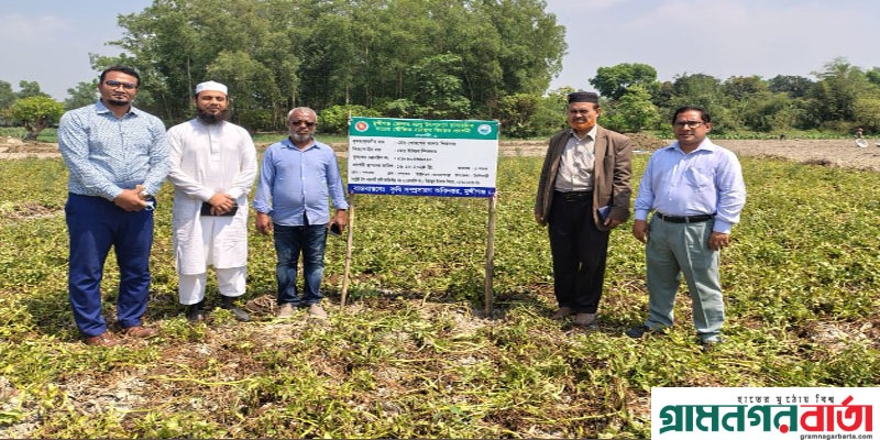 মুন্সিগঞ্জ জেলায় আলু উৎপাদনের রাসায়নিক সারের যৌক্তিক ব্যবহার প্রদর্শনি বাস্তবায়ন মুন্সিগঞ্জ জেলায় আলু উৎপাদনের রাসায়নিক সারের যৌক্তিক ব্যবহার প্রদর্শনি বাস্তবায়ন