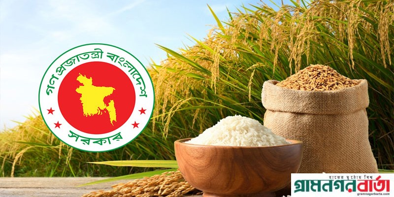 এ বছর ৪ টাকা বেশি দরে সাড়ে ১৭ লাখ টন ধান ও চাল সংগ্রহ করবে সরকার এ বছর ৪ টাকা বেশি দরে সাড়ে ১৭ লাখ টন ধান ও চাল সংগ্রহ করবে সরকার
