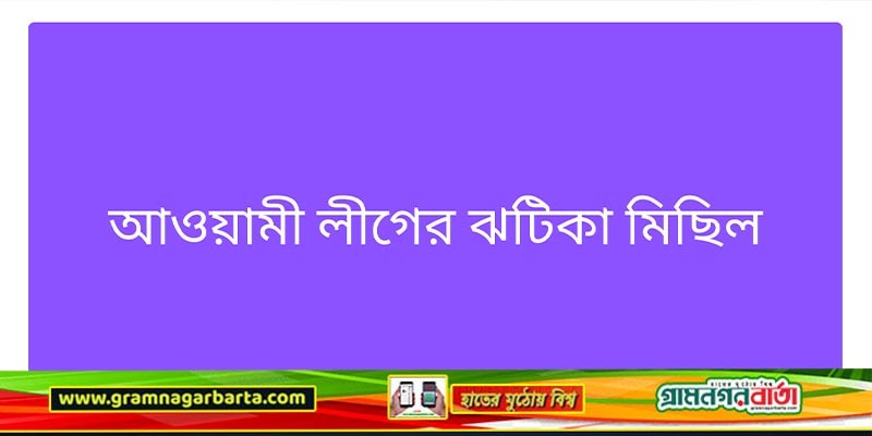 গুলশানে আওয়ামী লীগের ঝটিকা মিছিল গুলশানে আওয়ামী লীগের ঝটিকা মিছিল