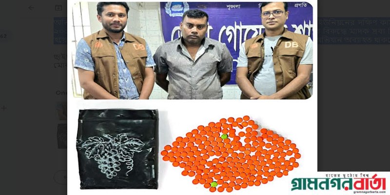জামালপুরে ২০০ ইয়াবা ট্যাবলেট সহ মাদক ব্যবসায়ী গ্রেফতার জামালপুরে ২০০ ইয়াবা ট্যাবলেট সহ মাদক ব্যবসায়ী গ্রেফতার
