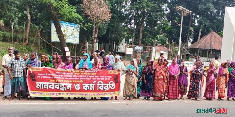 বেতন ভাতার দাবিতে সিলেটের চা শ্রমিকদের আন্দোলন বেতন ভাতার দাবিতে সিলেটের চা শ্রমিকদের আন্দোলন