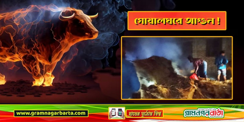গোয়ালঘরে দুর্বৃত্তের দেওয়া আগুনে গরু-ছাগলসহ পুড়ে গেল অর্ধশত হাঁস-মুরগি গোয়ালঘরে দুর্বৃত্তের দেওয়া আগুনে গরু-ছাগলসহ পুড়ে গেল অর্ধশত হাঁস-মুরগি