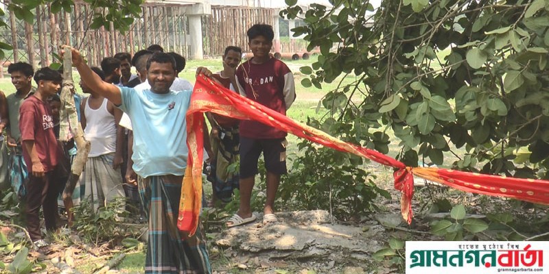 ভ্রান্ত ধারণায় শতবছরের বটগাছের মৃত্যু, দেখতে উৎসুক জনতার ভীড় ভ্রান্ত ধারণায় শতবছরের বটগাছের মৃত্যু, দেখতে উৎসুক জনতার ভীড়