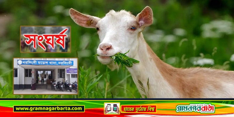 ছাগলের ঘাস খাওয়াকে কেন্দ্র করে সংঘর্ষে একজন নিহত, দুই ভাই আটক ছাগলের ঘাস খাওয়াকে কেন্দ্র করে সংঘর্ষে একজন নিহত, দুই ভাই আটক
