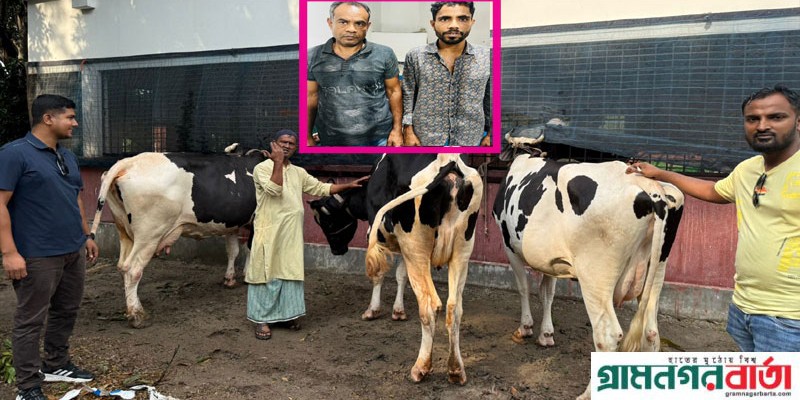 মুন্সিগঞ্জে গরুর খামারে ডাকাতির ঘটনায় দুজন গ্রেপ্তার, ৩টি গরু উদ্ধার মুন্সিগঞ্জে গরুর খামারে ডাকাতির ঘটনায় দুজন গ্রেপ্তার, ৩টি গরু উদ্ধার