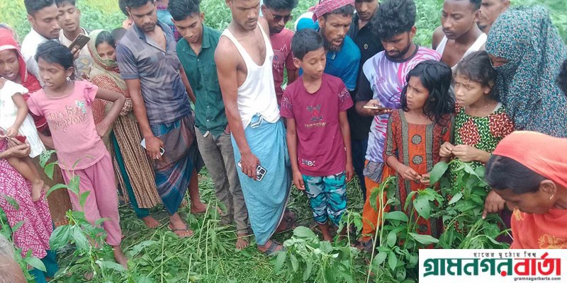 বকশীগঞ্জে মুখ পুড়িয়ে দেওয়া নারীর বিবস্ত্র মরদেহ উদ্ধার বকশীগঞ্জে মুখ পুড়িয়ে দেওয়া নারীর বিবস্ত্র মরদেহ উদ্ধার