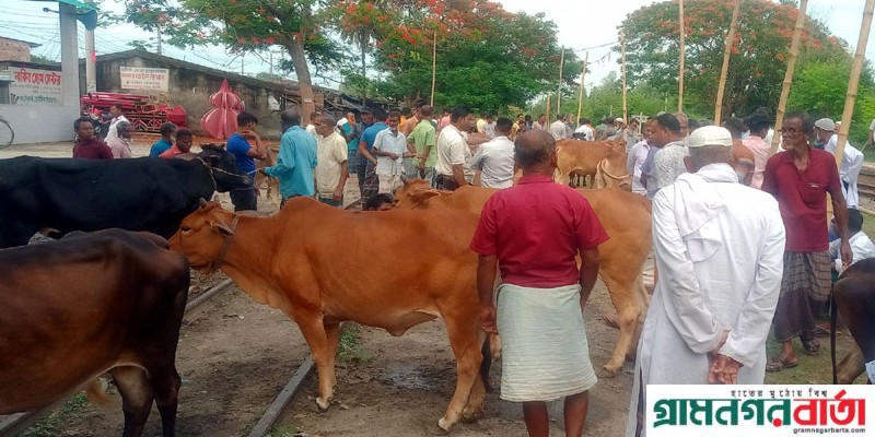 আদমদীঘির নশরতপুর রেল স্টেশনের উপর কুরবানীর পশুর হাট আদমদীঘির নশরতপুর রেল স্টেশনের উপর কুরবানীর পশুর হাট