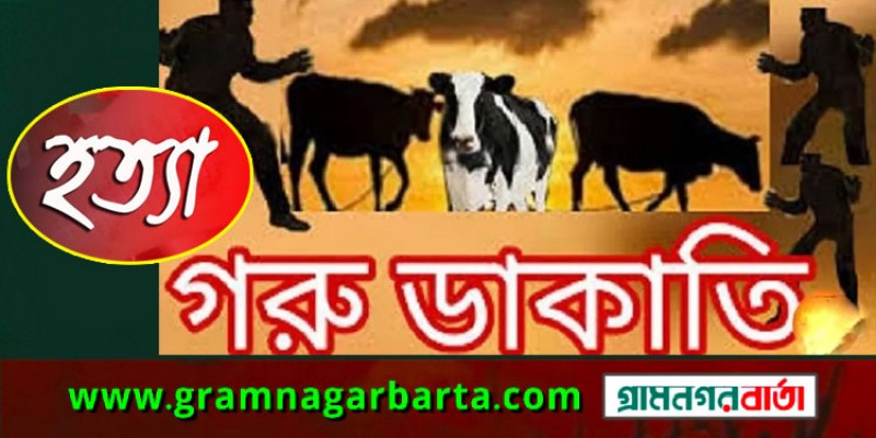 নাতিকে বস্তাবন্দি ও দাদাকে হত্যা করে ৪ গরু ডাকাতি নাতিকে বস্তাবন্দি ও দাদাকে হত্যা করে ৪ গরু ডাকাতি
