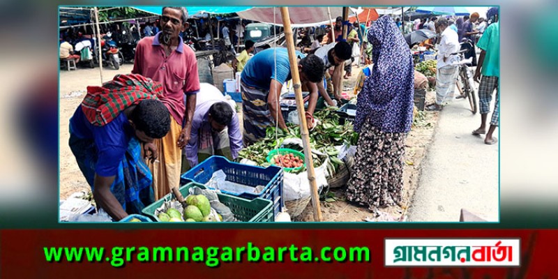 নন্দীগ্রামে মধুমাসে হরেক রকম ফলের সমাহার নন্দীগ্রামে মধুমাসে হরেক রকম ফলের সমাহার