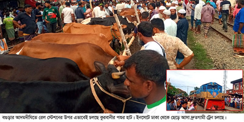 আদমদীঘিতে কুরবানীর হাটে অতিরিক্ত টোল আদায় আদমদীঘিতে কুরবানীর হাটে অতিরিক্ত টোল আদায়
