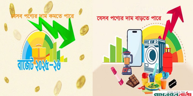 বাজেট ২০২৫-২৬: দাম কমতে ও দাম বাড়তে পারে যেসব পণ্যের বাজেট ২০২৫-২৬: দাম কমতে ও দাম বাড়তে পারে যেসব পণ্যের