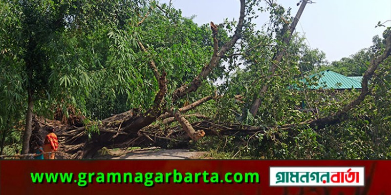 পঞ্চগড়ে স্বরণকালের আকস্মিক ঝড় পঞ্চগড়ে স্বরণকালের আকস্মিক ঝড়