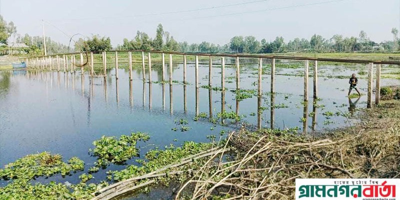 যাতায়তে সাঁকোই ভরসা, কাউনিয়ায় ৫৩ বছর কেটে গেল কেউ কথা রাখে নি যাতায়তে সাঁকোই ভরসা, কাউনিয়ায় ৫৩ বছর কেটে গেল কেউ কথা রাখে নি