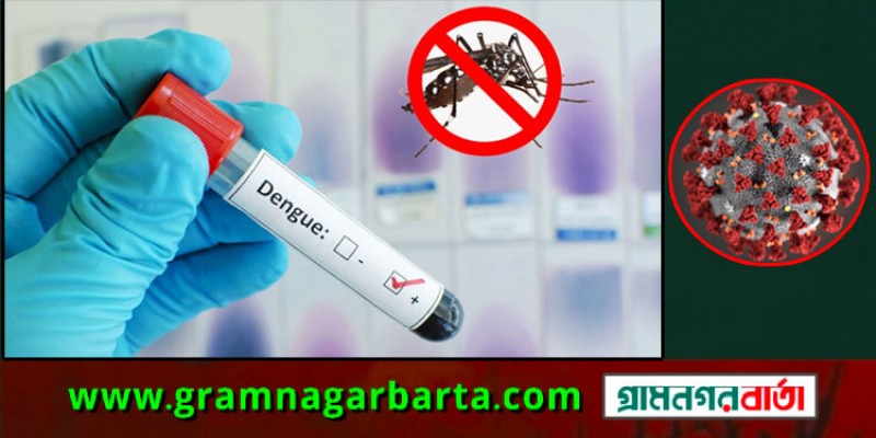 ৪৪ শতাংশ ডেঙ্গু রোগী বরিশালে, বাড়ছে করোনার সংক্রমণও ৪৪ শতাংশ ডেঙ্গু রোগী বরিশালে, বাড়ছে করোনার সংক্রমণও