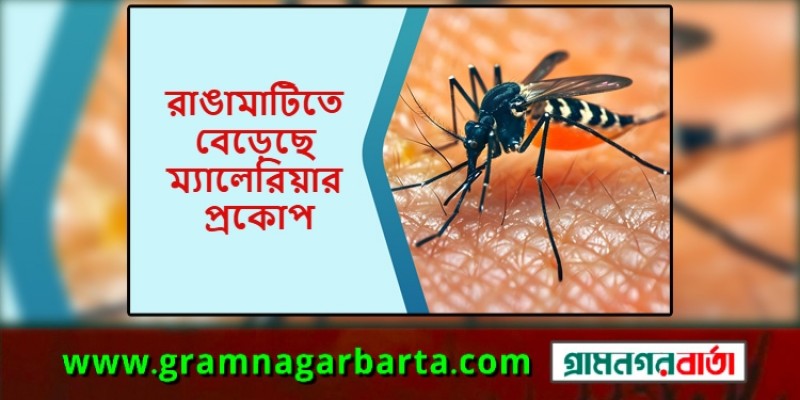 রাঙামাটিতে বেড়েছে ম্যালেরিয়ার প্রকোপ, আক্রান্ত ৬৬১ রাঙামাটিতে বেড়েছে ম্যালেরিয়ার প্রকোপ, আক্রান্ত ৬৬১