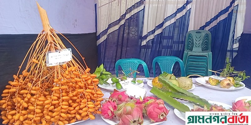 পঞ্চগড়ে তিন দিনব্যাপী জাতীয় ফল মেলা শুরু পঞ্চগড়ে তিন দিনব্যাপী জাতীয় ফল মেলা শুরু