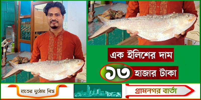 এক ইলিশের দাম ১৩ হাজার! এক ইলিশের দাম ১৩ হাজার!