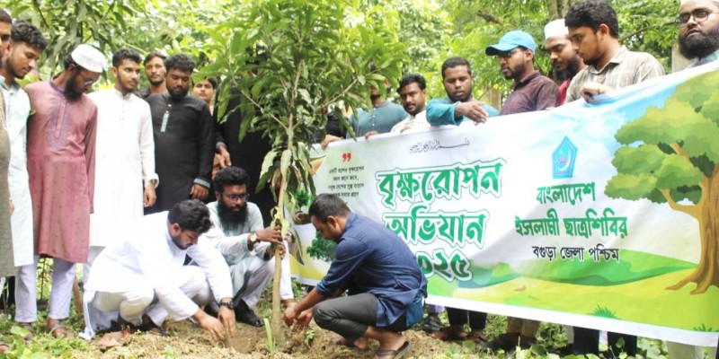 নন্দীগ্রামে ছাত্র শিবিরের বৃক্ষরোপণ কর্মসূচি শুরু নন্দীগ্রামে ছাত্র শিবিরের বৃক্ষরোপণ কর্মসূচি শুরু