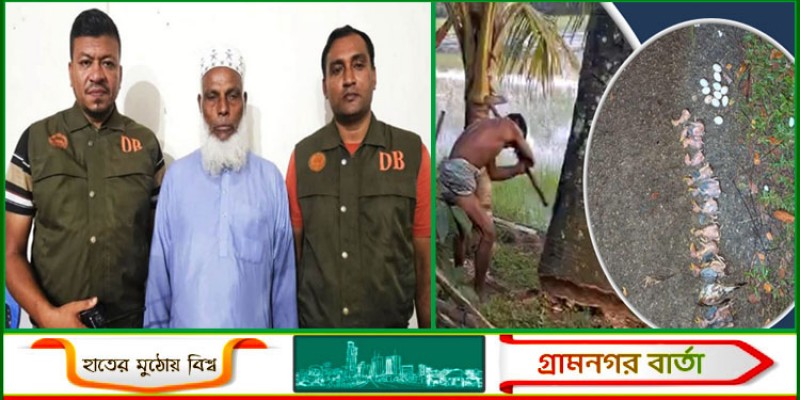 তালগাছ কেটে ‘শতাধিক’ বাবুই পাখির ছানা হত্যার অভিযোগ: প্রধান আসামি গ্রেফতার তালগাছ কেটে ‘শতাধিক’ বাবুই পাখির ছানা হত্যার অভিযোগ: প্রধান আসামি গ্রেফতার