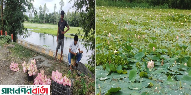 অপরূপ সৌন্দর্য টানে প্রকৃতি প্রেমীদের আগমন অপরূপ সৌন্দর্য টানে প্রকৃতি প্রেমীদের আগমন