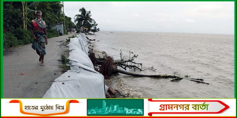 মেঘনার ভাঙনে বেড়িবাঁধ ক্ষতিগ্রস্ত, আতঙ্কে হাজার হাজার পরিবার