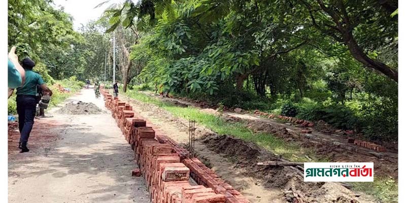 গণকবর থেকে তোলা হচ্ছে ১১৪ লাশ, পরিচয় শনাক্তে ডিএনএ প্রোফাইল