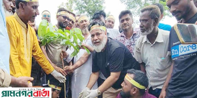 কাউনিয়ায় স্বেচ্ছাসেবক দলের বৃক্ষরোপণ কর্মসূচি পালিত