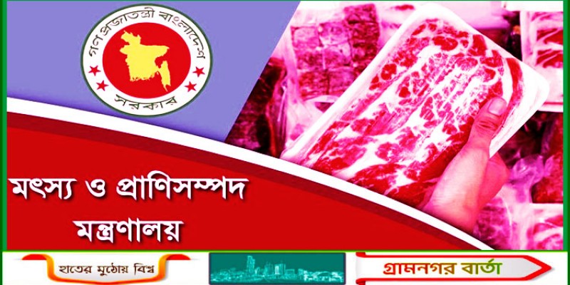 ব্রাজিল থেকে মাংস আমদানির খবর ভিত্তিহীন